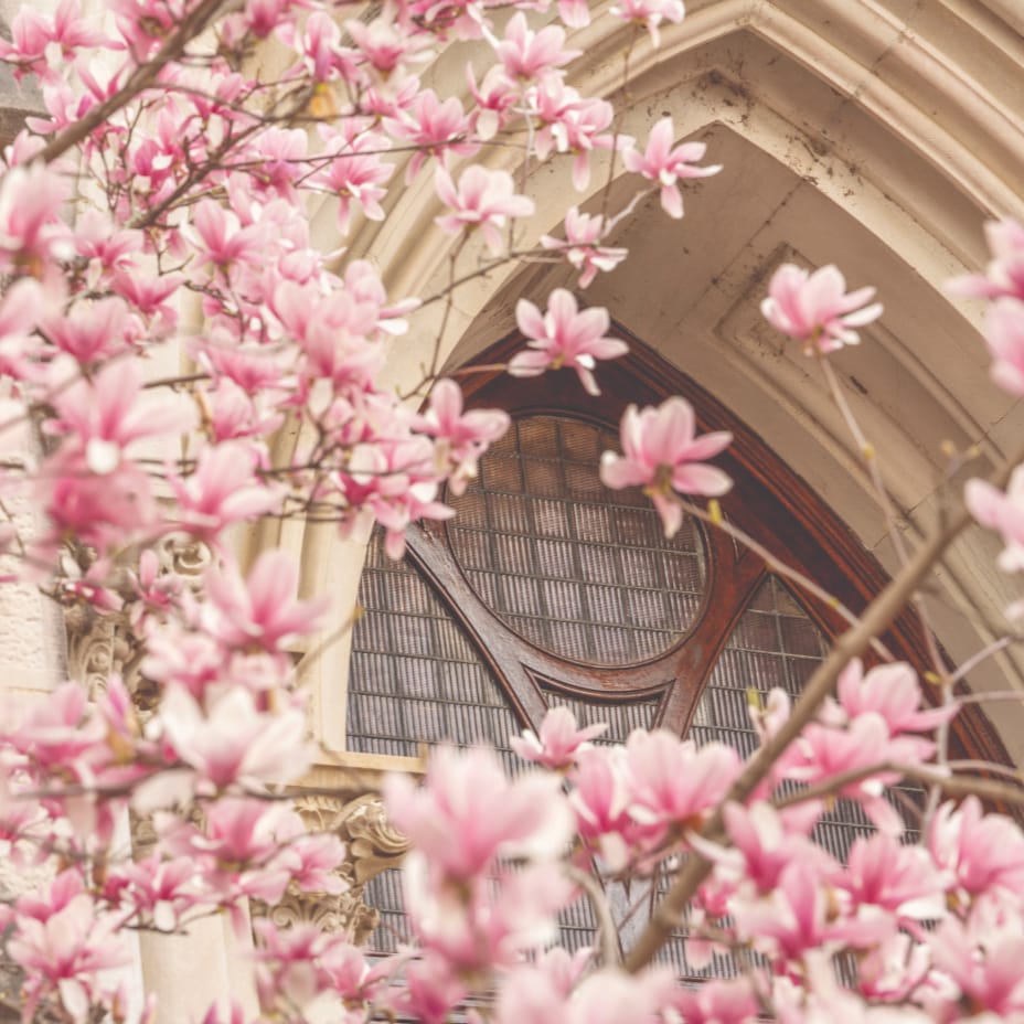 Photo of Vanderbilt University buildings