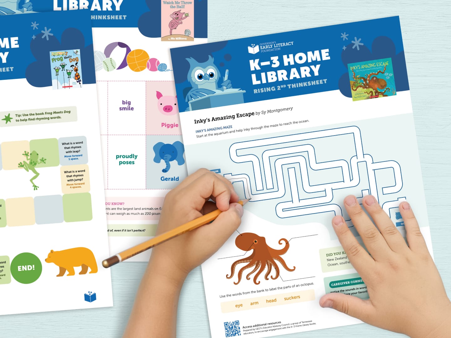 Governor's Early Literacy Foundation k-3 reading activity materials